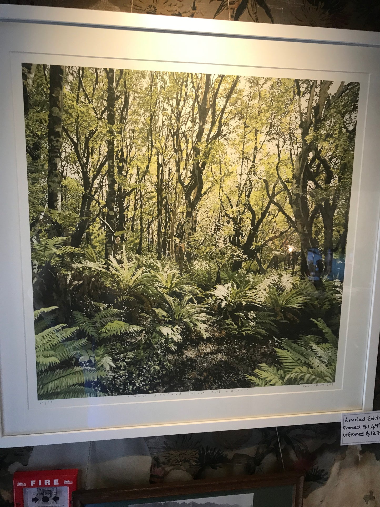 New Zealand Native Bush - 02/12