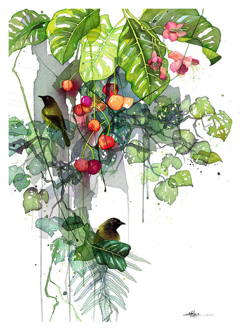 Puriri Glimpses (feat Bellbird)