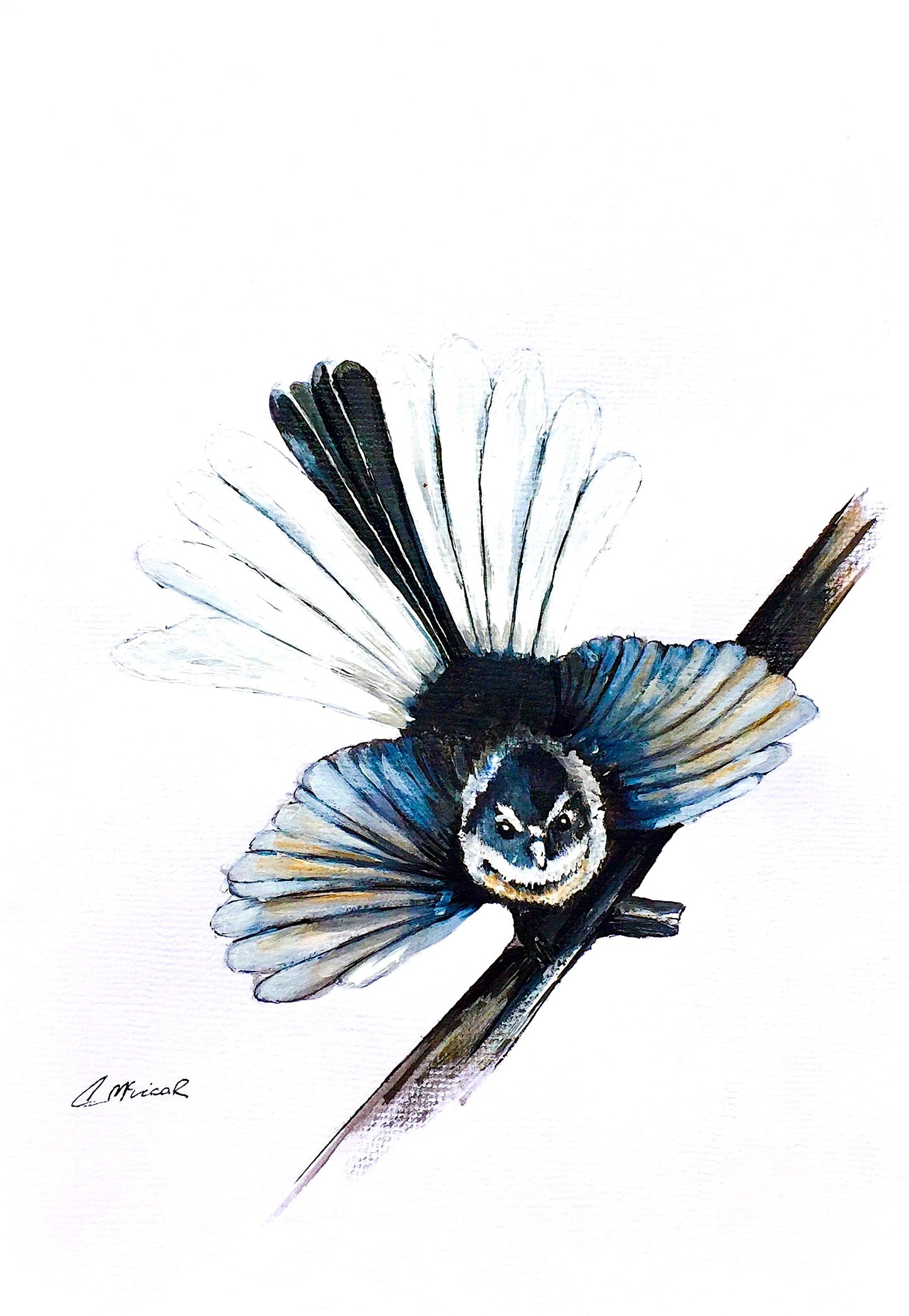 Fantail