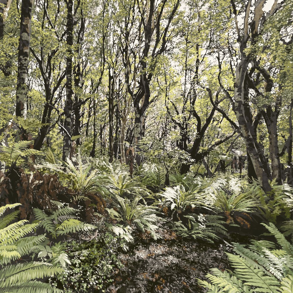 New Zealand Native Bush - 02/12
