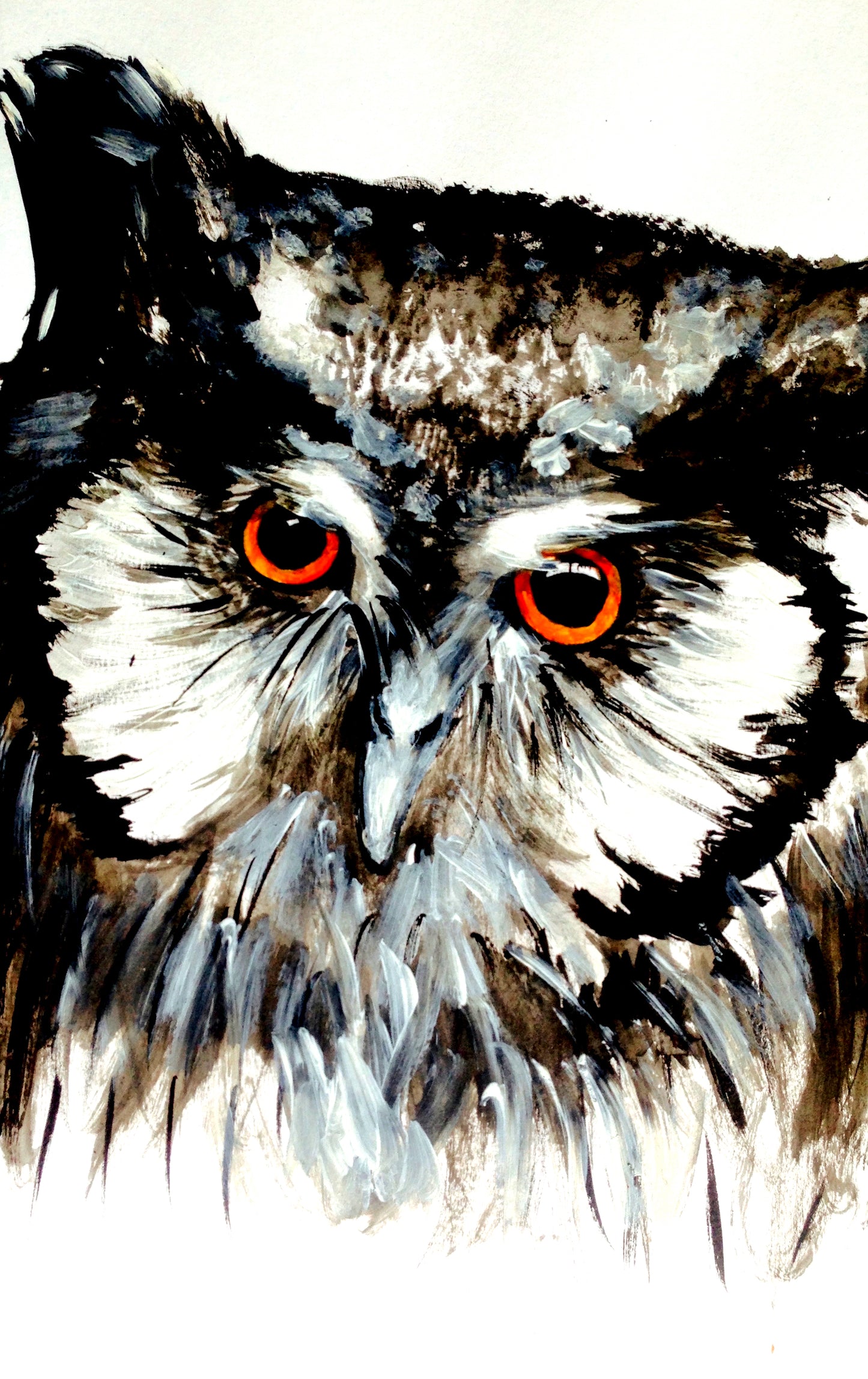 Owl