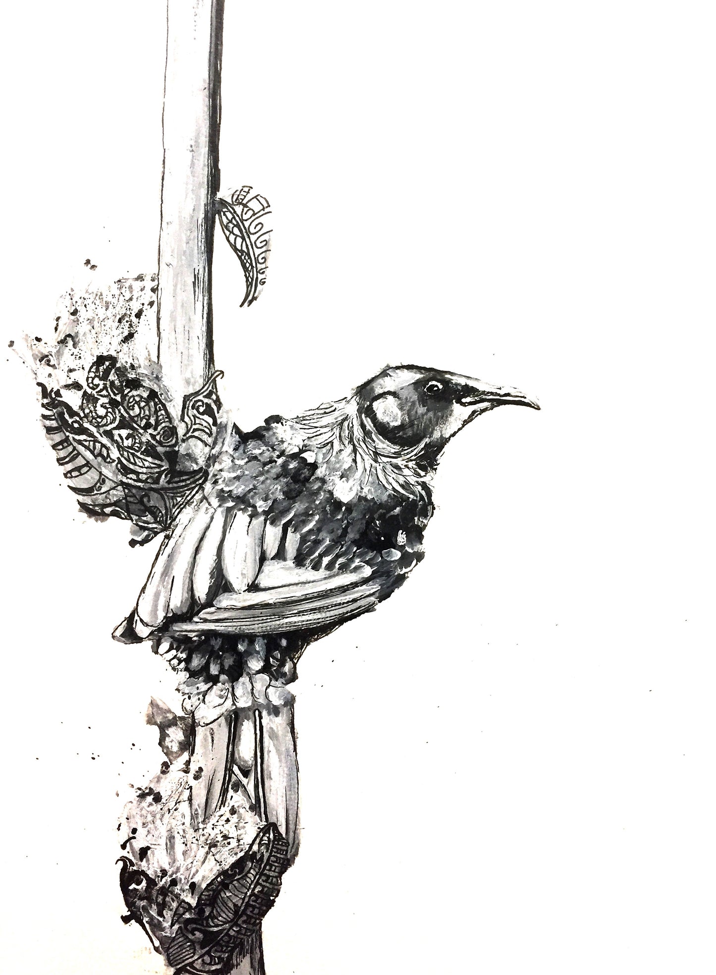 NZ Tui